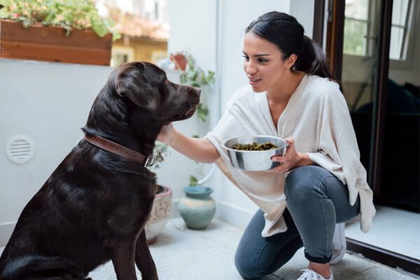 How Many Cups In A Pound Of Dog Food