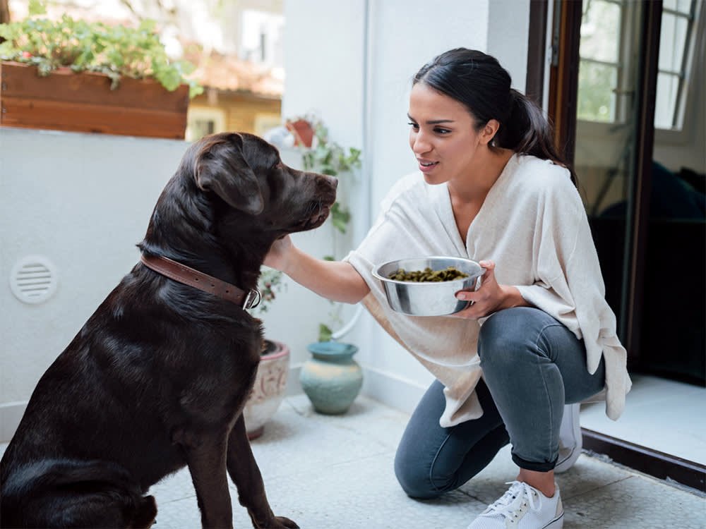 How Many Cups In A Pound Of Dog Food